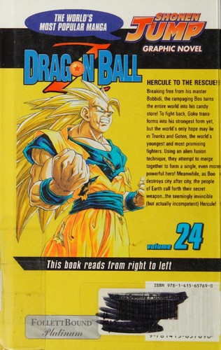 Dragon Ball Z, Vol. 24