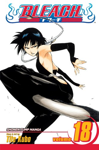 Bleach, Vol. 17