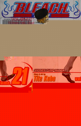 Bleach, Vol. 21