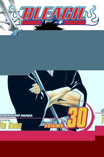 Bleach, Vol. 30