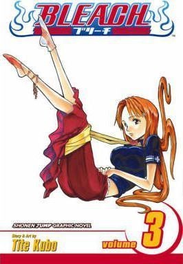 Bleach, Vol. 3